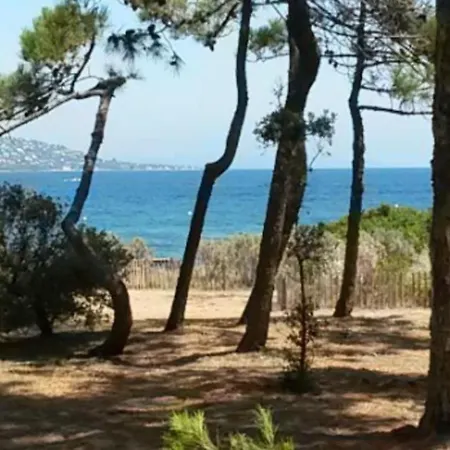 Apartment Flat With Swimming Pool At 200m From The Beach